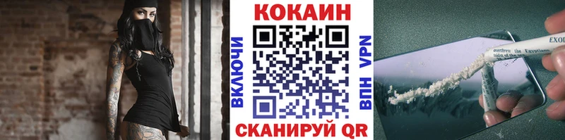 COCAIN Fish Scale Курчалой