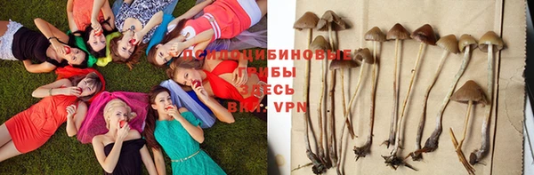 apvp Алексин