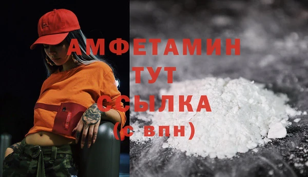 молекула духа Вязьма