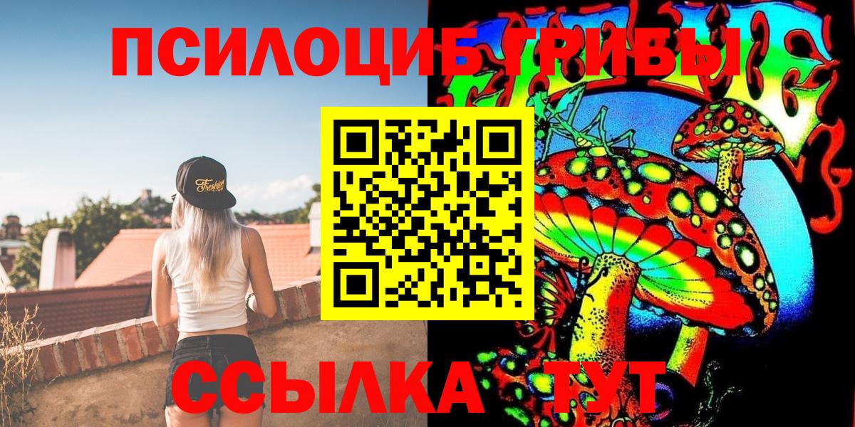 Галлюциногенные грибы Magic Shrooms  Вход с VPN  Курчалой  Псилоцибиновые грибы ЛСД 