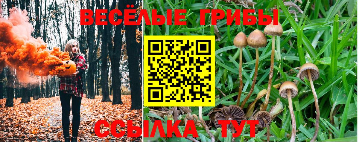 APVP Курчалой